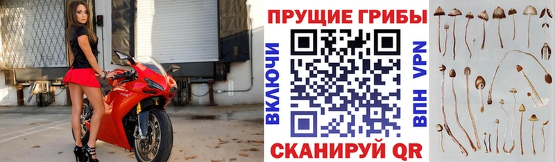 Галлюциногенные грибы мицелий  Балабаново 
