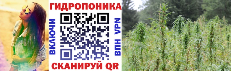 ОМГ ОМГ   Балабаново  МАРИХУАНА тримм 